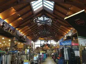 Inside Cabela's store showing a vaulted ceiling and merchandise
