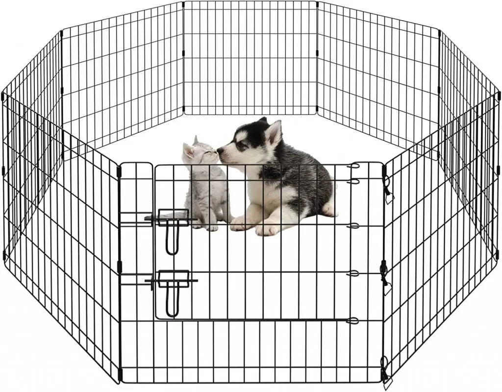 Husky puppy and kitten playing in a metal pen - RV dog fence
